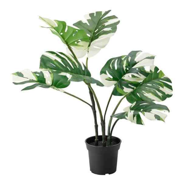 FEJKA, Tanaman tiruan dalam pot, dalam/luar ruang monstera, 19 cm