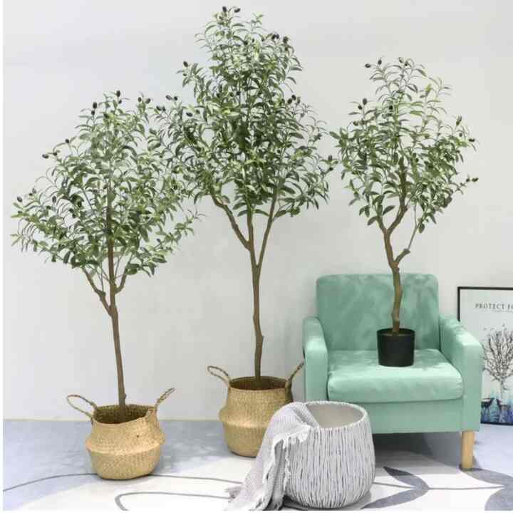 Olive Tree Artificial