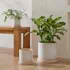 Sketchbook Ceramic Indoor/Outdoor Planters (Multiple options)