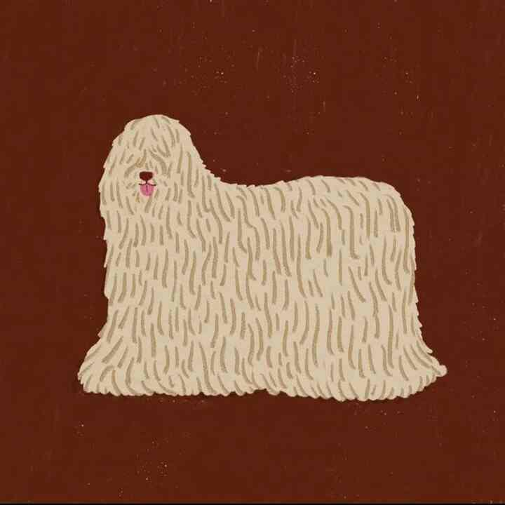 正方形ポストカード