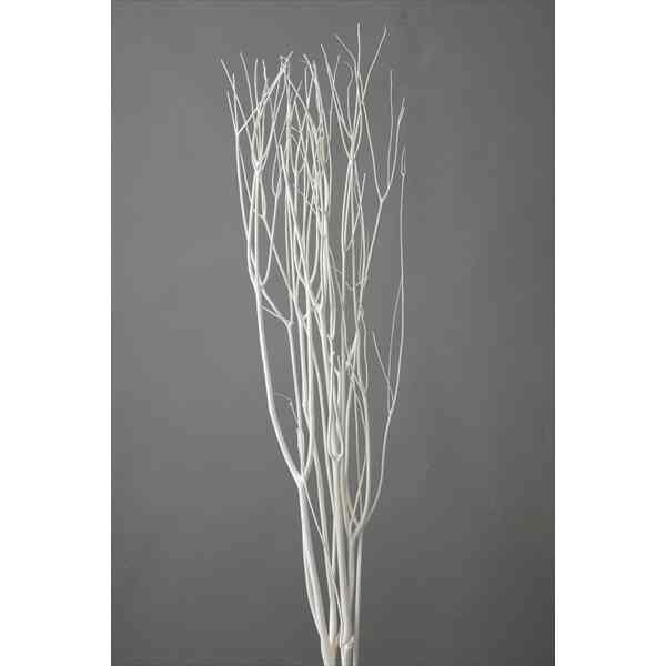 ドライフラワー 大地農園/三又 １００ｃｍ 5本 白（晒）