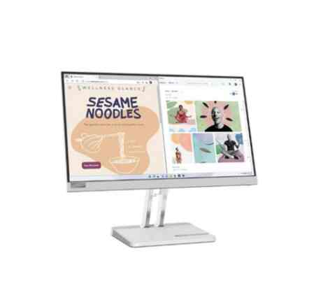 LED Monitor L22E-40 22 inch