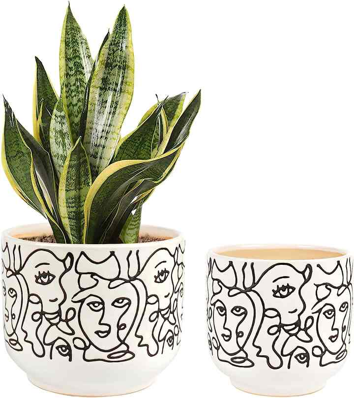 Ceramic Planter (Multiple options)