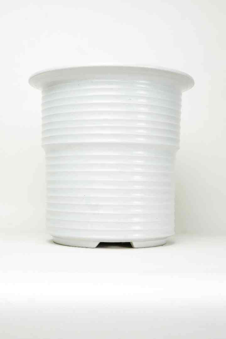 ULIR 03 – IVORY WHITE