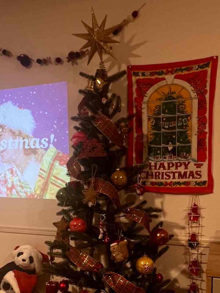 ニトリのハーフツリー
省スペースで良い🌲
いろんなお店で買い集めたオーナメントが可愛くて一日中見てしまう☺️

#ハーフツリー #クリスマスツリー #クリスマス装飾 
