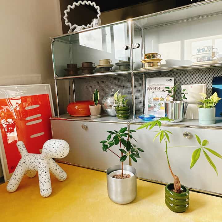 Kenikmatan sirih gading sedang tumbuh, jadi saya tanam kembali, membagi tanaman, dan menambah jumlah tanaman 👏

Saya menyukainya karena tumbuh dengan cepat dan mudah dirawat.

Saya ingin menambah jumlah tanaman hias 🪴

#Penutup pot #鉢植え #植物 #植木鉢