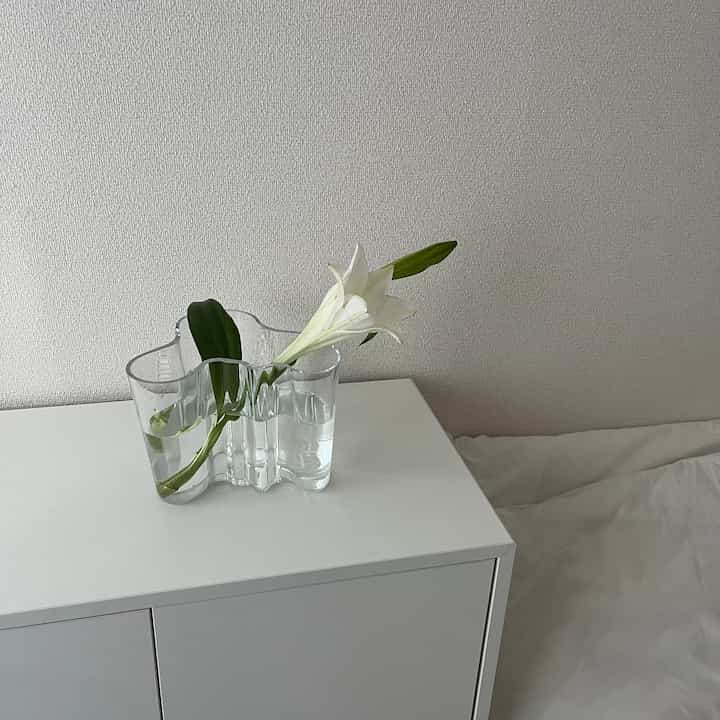 大好きな百合の花とアアルトベース 𓆸

#花 #生花 #百合  #iittala #フラワーベース #花瓶 #アルヴァアアルト #eket #エーケト #収納 #IKEA #ホワイトインテリア #ナチュラルインテリア #海外インテリア #和風インテリア #シンプルインテリア #一人暮らし #一人暮らしインテリア  #ワンルーム #ワンルームインテリア #interior #room #home