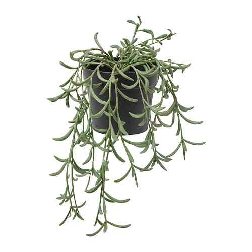 FEJKA, Tanaman tiruan dalam pot, dalam/luar ruang/string of bananas digantung, 9 cm