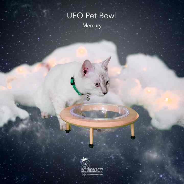 Pet Bowl Tempat Makan Peliharaan