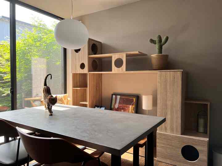 ライトグレーのダイニングテーブルとブラウンの木製家具が配置されたダイニング、テーブルを歩く猫が自然な雰囲気を演出する空間
