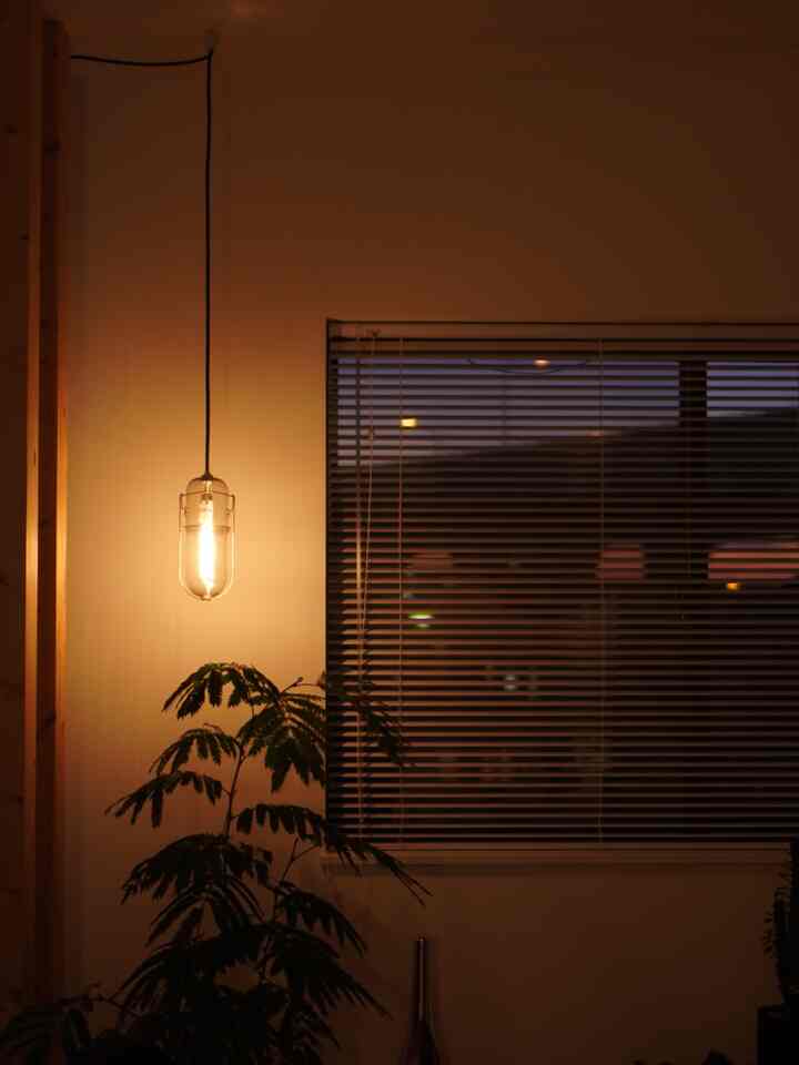 Warm gold-tone pendant light with green plants in a natural-style living room space