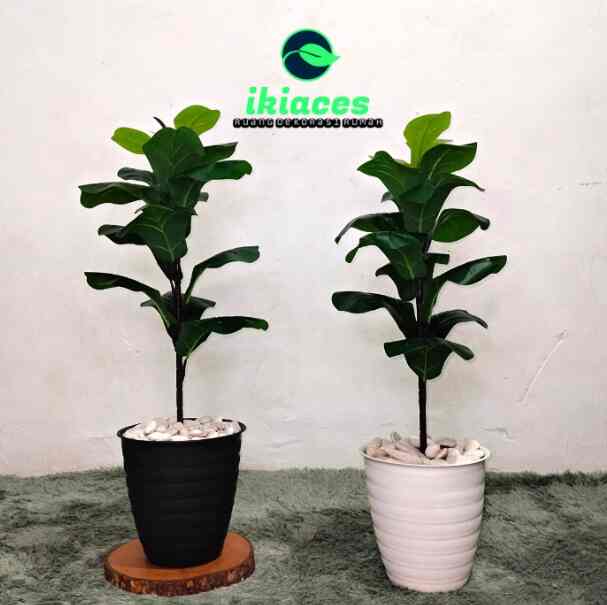 Pohon Hias ketapang Artifisial 