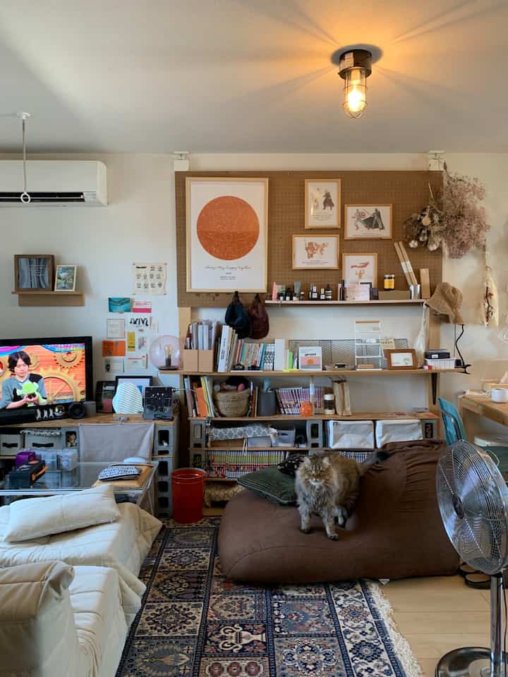 A compact living room with a brown bean bag sofa featuring a cat, natural earthy tones, and organized storage ideas throughout the space