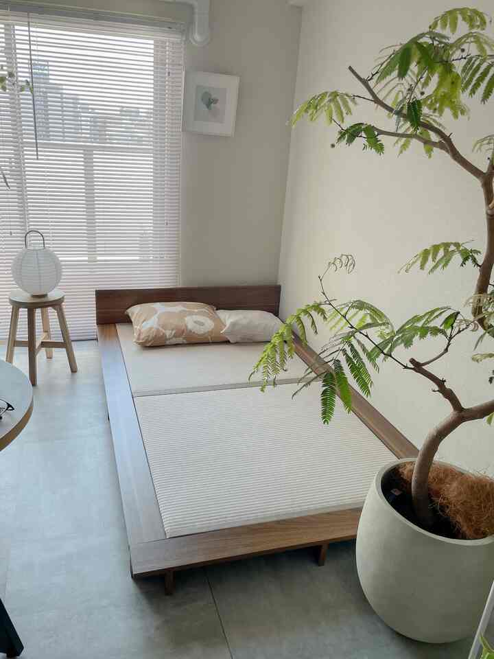 ナチュラルでモダンな雰囲気の小さなリビング、木目調のベッドフレームと大きな植物が配置された落ち着いた空間