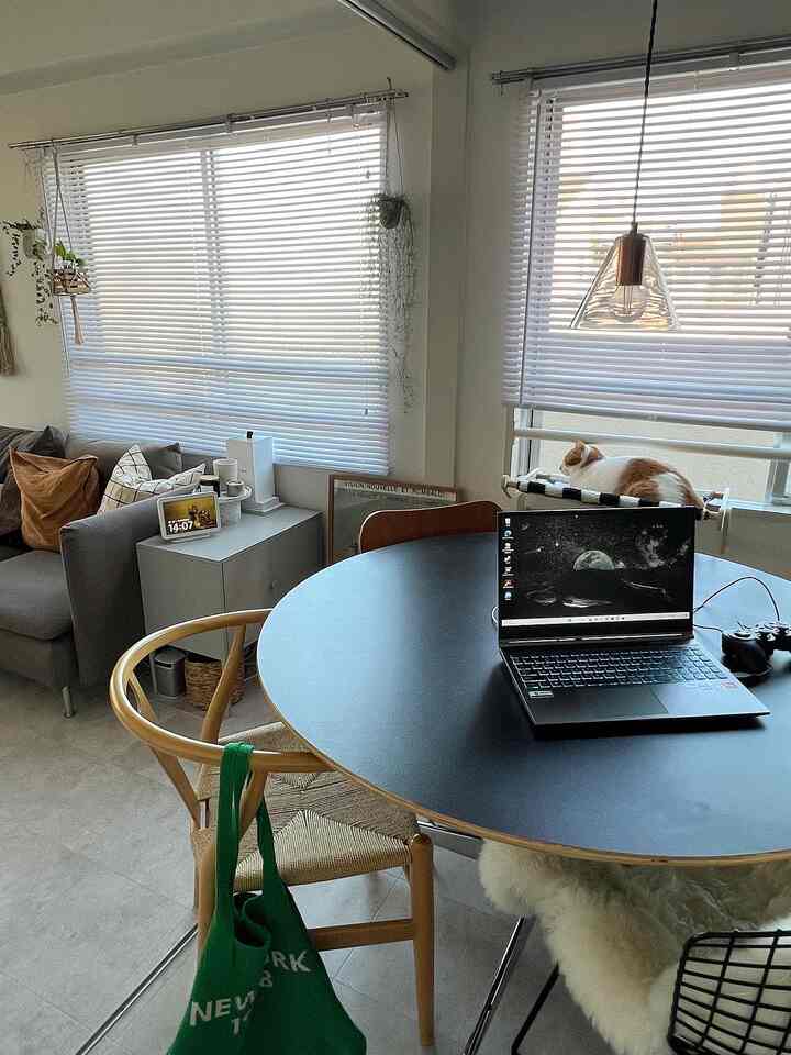 白いブラインドがかかったリビング、グレーのソファと黒い丸テーブルが置かれ、窓際のハンモックで猫がくつろぐ雰囲気のあるインテリア