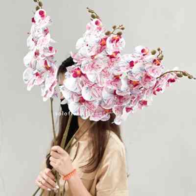 Bunga Rainbow Orchid Latex