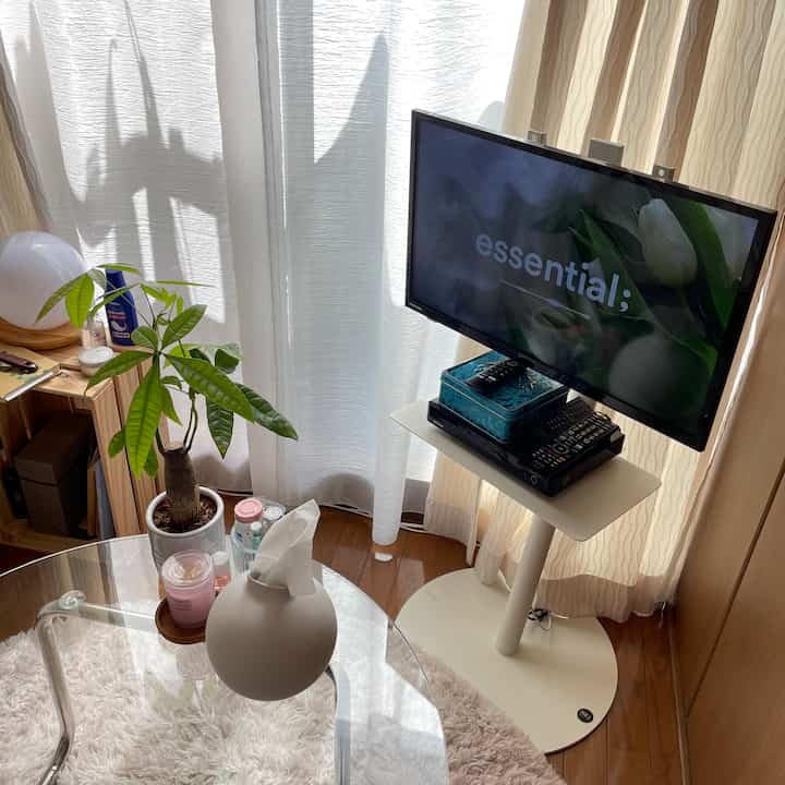 白と木目調の調和があるリビング、テレビ台と植物が配置されたシンプルで落ち着いた空間