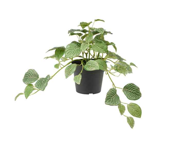 FEJKA Artificial potted plant, in/outdoor mosaic plant/hanging, 9 cm
