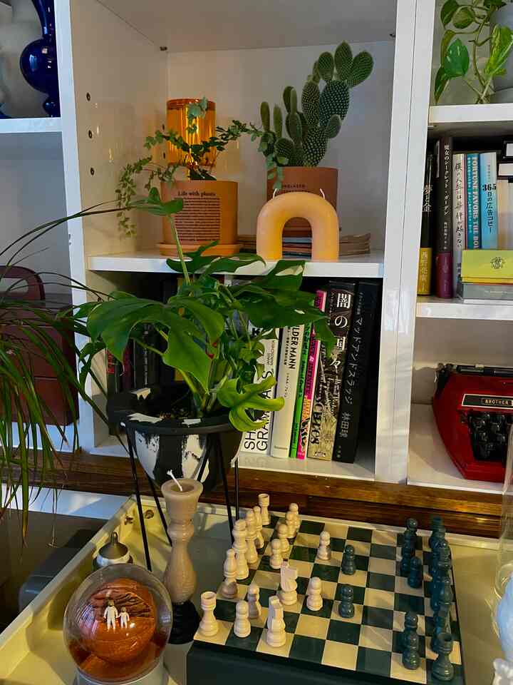 ナチュラルな木目調とグリーンの植物が調和したリビングの本棚に飾られた装飾品とチェスセットのある雰囲気の良い空間