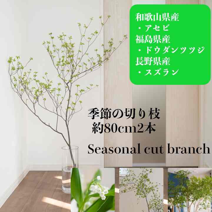 季節の植物 約80cm 2本セット