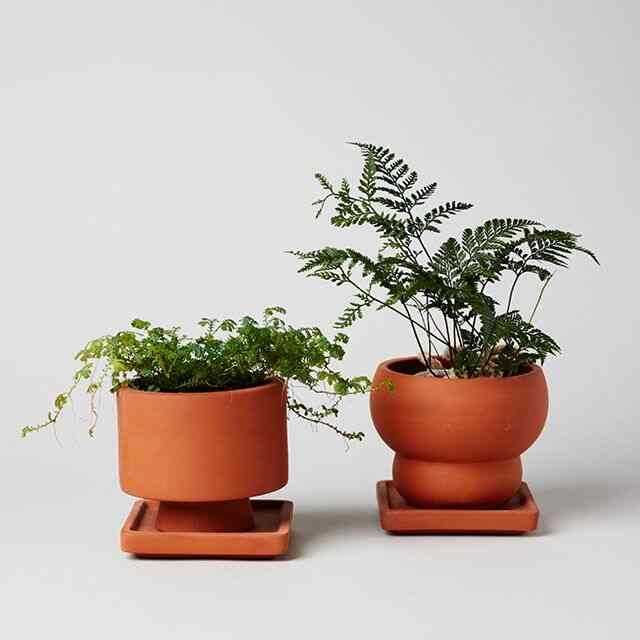 テラコッタ プランター STICKY