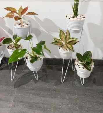 STANDING POT 3 IN 1 / Putih