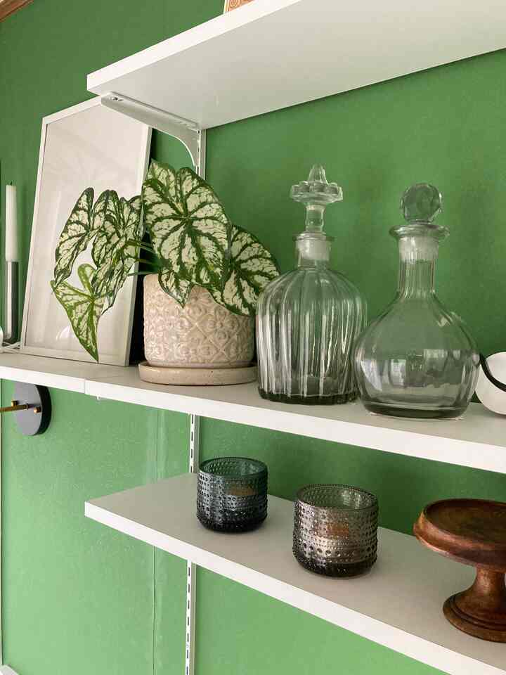 我が家のリビング

くすみのない、彩度高めのグリーン壁紙に
お気に入りの雑貨を並べてます。

#リビングルームのインテリア 
#リビングルーム #インテリア植物 