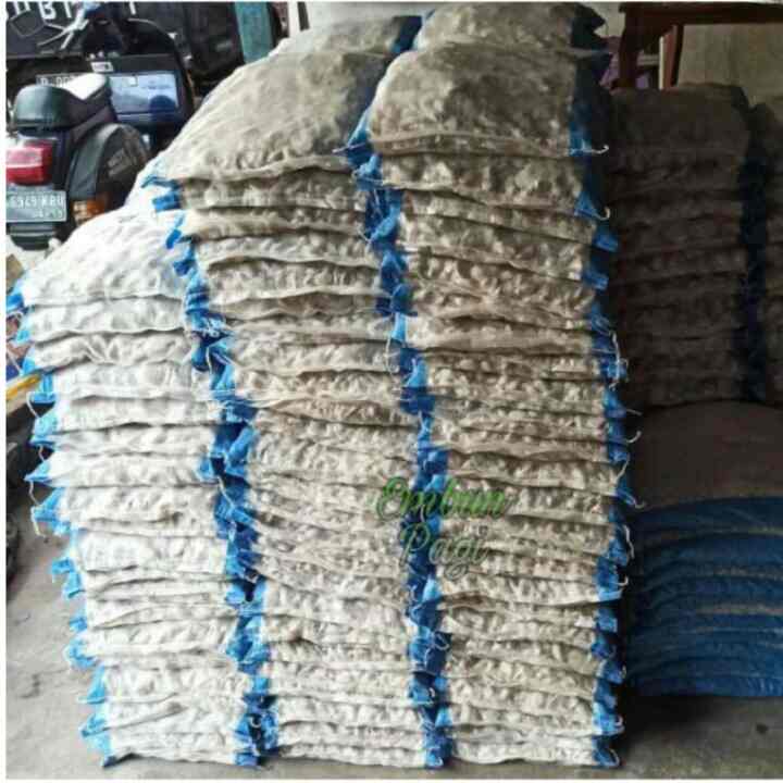 Batu koral putih kupang