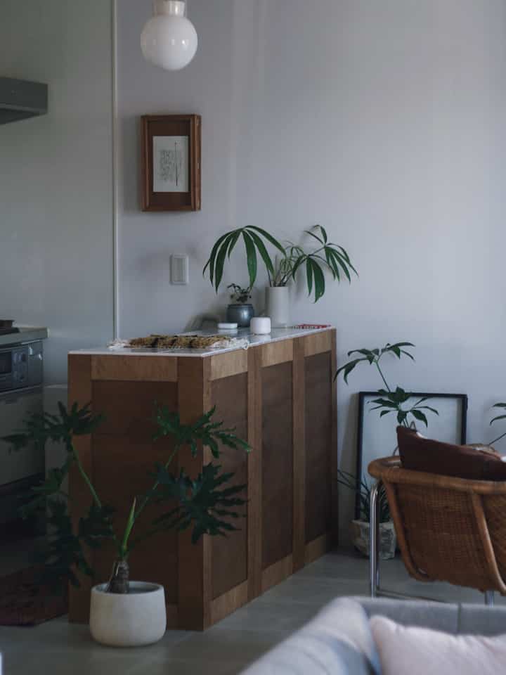 ナチュラルな木目調のキッチンスペース、DIYカウンターと植物が配置された落ち着いた雰囲気のインテリア