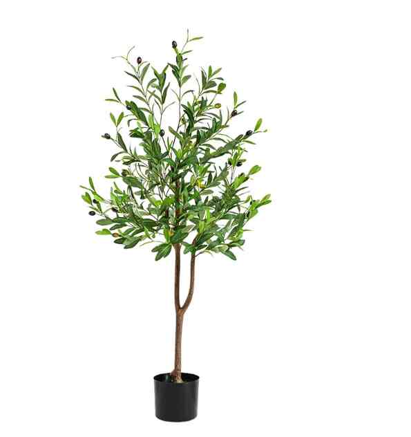 Simulation Olive Tree,Green Plants