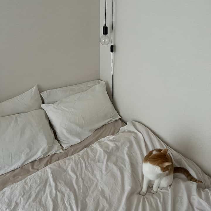 ベッドテキスタイルは無印の洗いざらしで統一しています
肌触りが良くてとてもお気に入り𓅼

#ベッド #ベッドルーム #テキスタイル #無印 #無印良品 #洗いざらし #シーツ #ホワイトインテリア #ナチュラルインテリア #海外インテリア #和風インテリア #シンプルインテリア #一人暮らし #一人暮らしインテリア  #ワンルーム #ワンルームインテリア #interior #room #home