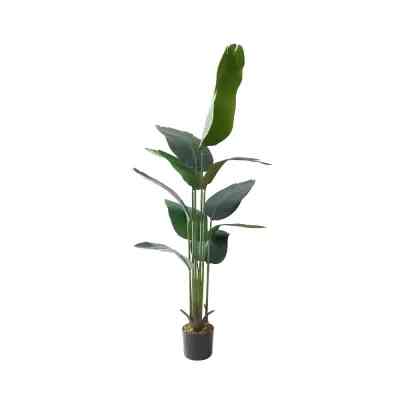 Arthome 160 Cm Tanaman Artifisial