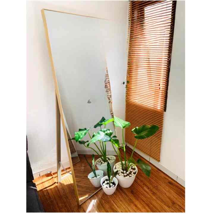 STANDING MIRROR 153x60 FRAMELESS - customize color