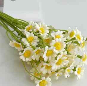 BUNGA DAISY 1 TANGKAI isi 2 Cabang Tangkai / DAISY MINI