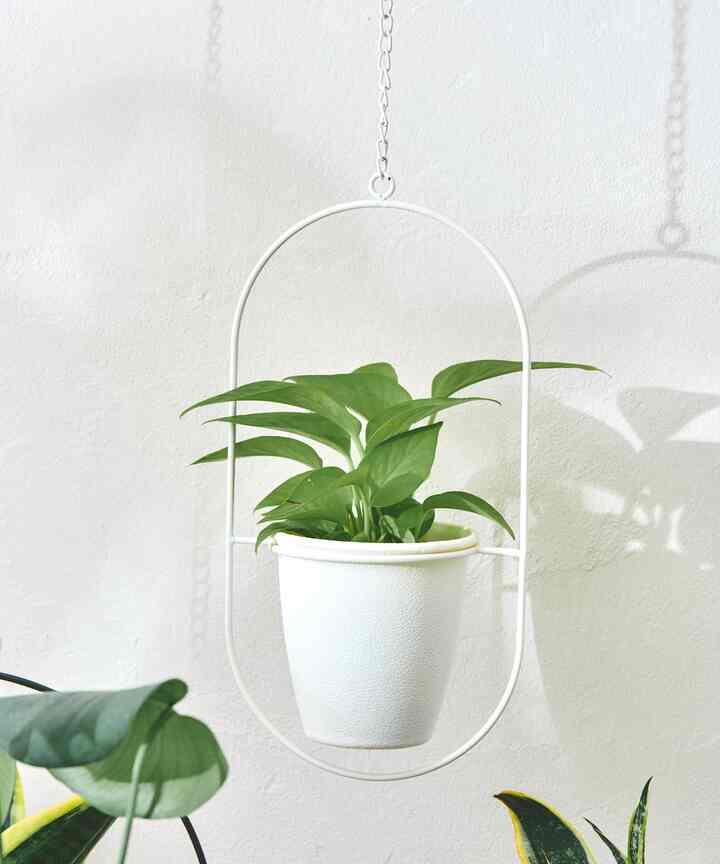 ワイヤーハンギングポットA：3号サイズ