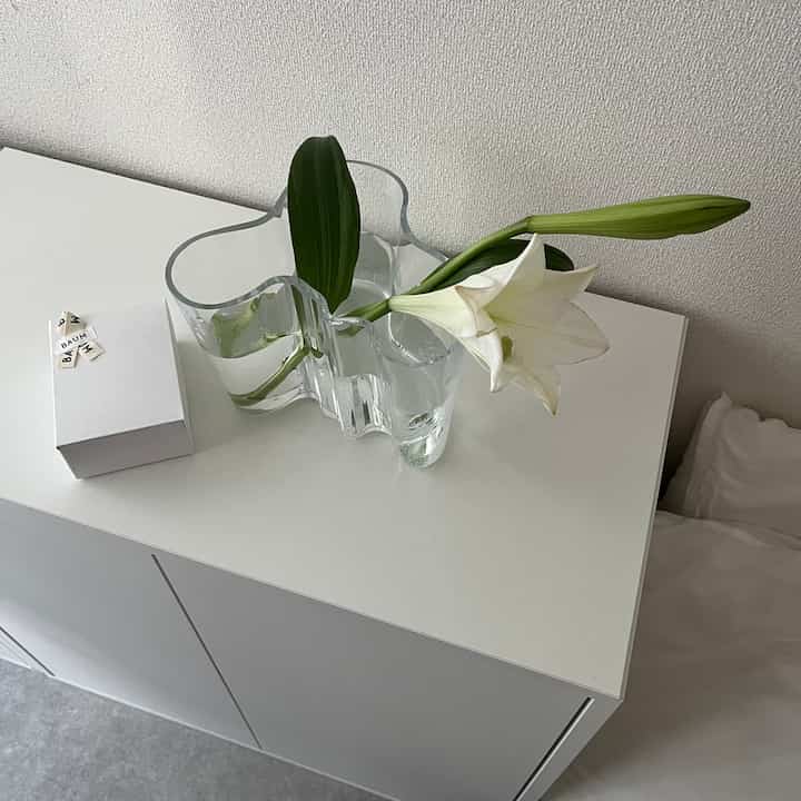 だいすきな百合の花 𓆸

#iittala #フラワーベース #花瓶 #アルヴァアアルト #クッションフロア #モルタル #SCF9567 #賃貸リメイク #リメイクシート #ホワイトインテリア #ナチュラルインテリア #海外インテリア #和風インテリア #シンプルインテリア #一人暮らし #一人暮らしインテリア  #ワンルーム #ワンルームインテリア #interior #room #home