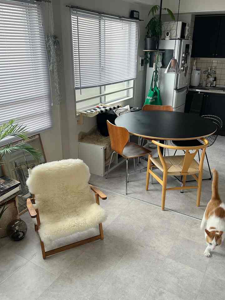 白とグレーのトーンでまとめられたコンパクトなモダンキッチンダイニング、丸いダイニングテーブルと多様な椅子が配置され、窓辺には猫と植物が置かれた雰囲気のある空間