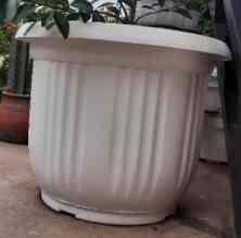 Pot Tanaman Jumbo -  50cm - Putih
