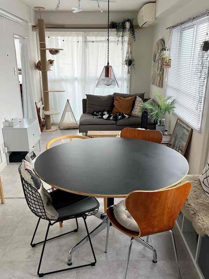 White and brown tone living room featuring a black round dining table with various chairs, a cat tower, and plants creating a natural modern atmosphere
