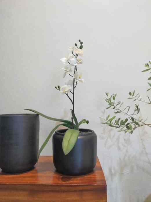 Pot Gerabah Terakota Premium Jar D16T18