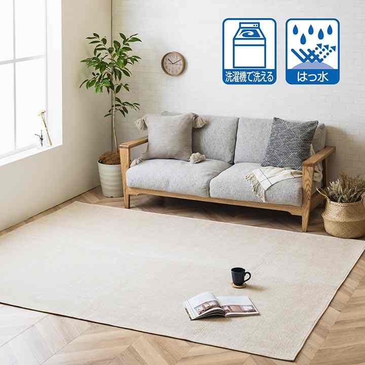 ラグカーペット モデルノ