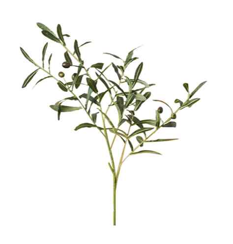 Artificial Olive Branch