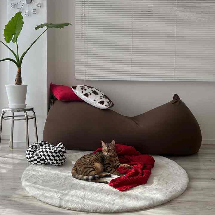 White and brown toned living room featuring a large brown bean bag and a cat on a cozy rug