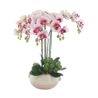Bunga Artifisial Orchid 5 Stem