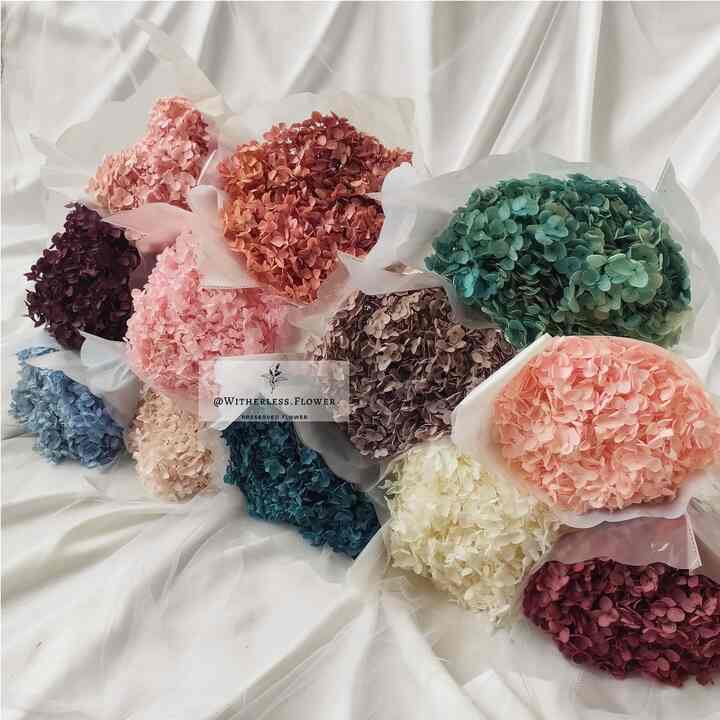 1 Bunch Preserved Whole Hydrangea
