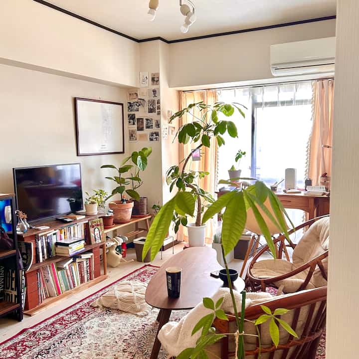 Bright beige-toned living room featuring wooden furniture and various indoor plants creating a cozy and natural atmosphere