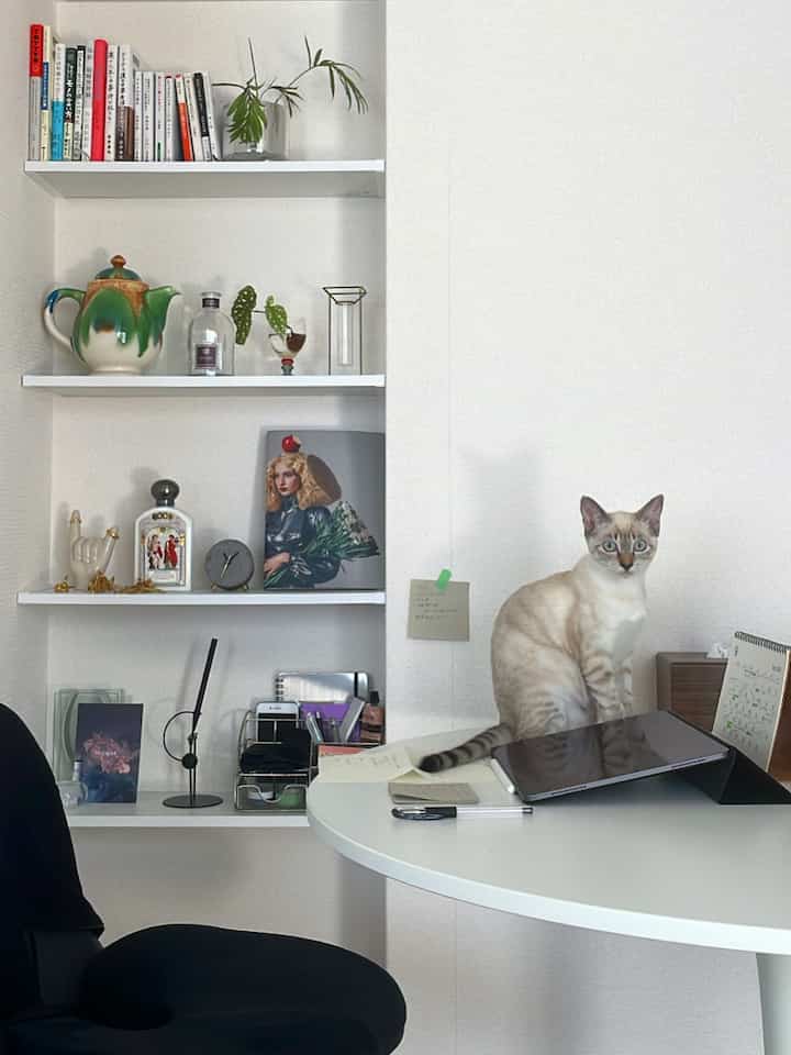 白を基調としたワークスペース、白い丸テーブルに猫とノートパソコンが置かれた落ち着いた雰囲気のあるインテリア