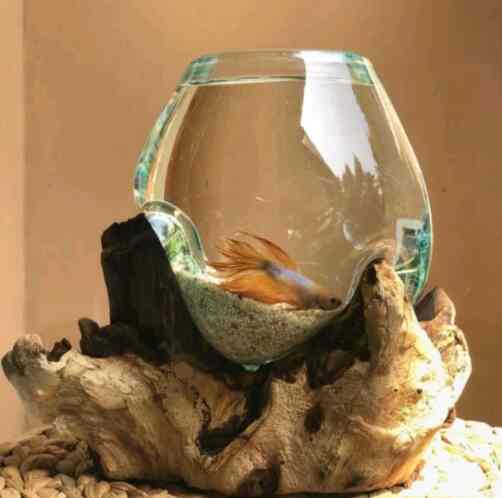 AQUARIUM IKAN CUPANG - SIZE L /DIAMETER 12