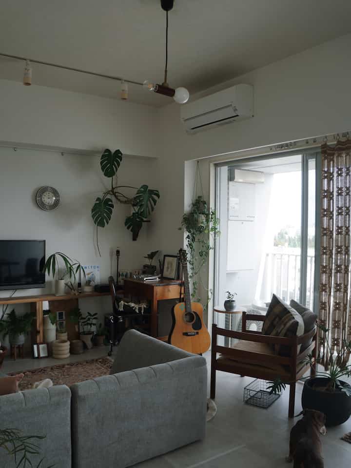 グレーのソファと木製のアームチェア、多様な植物とペンダントライトが配置されたナチュラルモダンなリビング