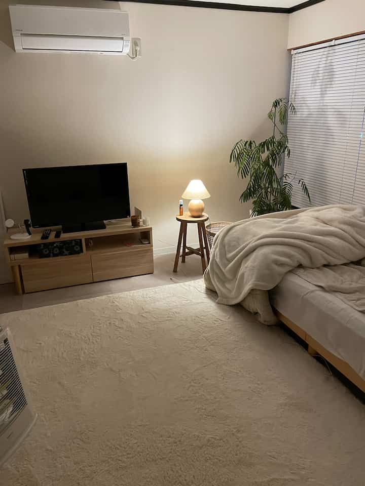 Beige-toned bedroom featuring a warm rug, table lamp, and a plant creating a cozy atmosphere